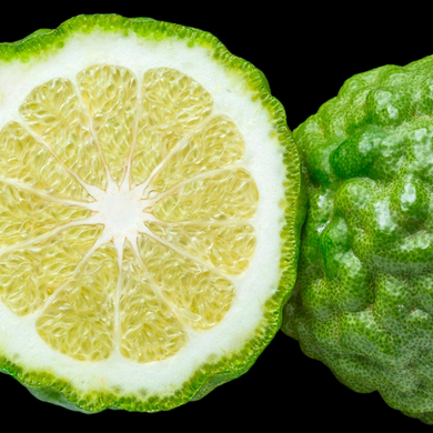 Женские духи Yodeyma Linet Бергамот Ревень Личи, 100 мл