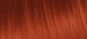 M/66 Фарба для волосся Kincream Color CRK+V Іспанія Mix Tones 100 мл