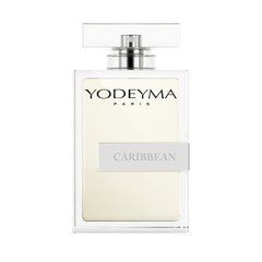 Чоловічі парфуми Yodeyma Caribbean Бергамот Петитгрейн Ветивер, 50 мл (тестер)