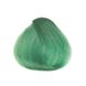 38 Полуперманентный прямой краситель Kaaral Baco ColorSplash Зеленый, 100 мл