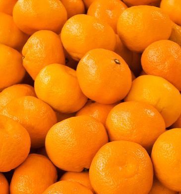 Жіночі парфуми Yodeyma CHEANTE Мандарин Троянда Пачулі, 50 мл