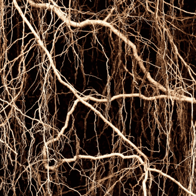 Женские духи Yodeyma VELFASHION Бергамот Жасмин Ветивер, 50 мл